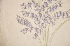 Antique Saturated Bell Shaped Flowers in Watercolor, Casual Sketch Series // ONH Item 1401 Image 2
