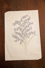 Lower right corner of the 1870s bellflower watercolor, with soft royal blue flowers and a paper crease.