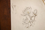 Original late 19th century Magnolia Stellata watercolor and pencil hand sketch.
