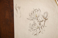 Antique Magnolia Stellata Watercolor, Casual Sketch Series // ONH Item 1402