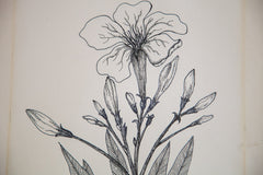 Blossoming Plant in Ink // ONH Item 1409 Image 2