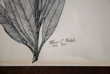 Marie C. Feldi's 1989 signature and detailed ink plant leaves with paper toning.