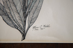 Blossoming Plant in Ink // ONH Item 1409 Image 3