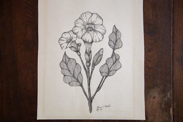 Blossomed Plant in Ink // ONH Item 1410