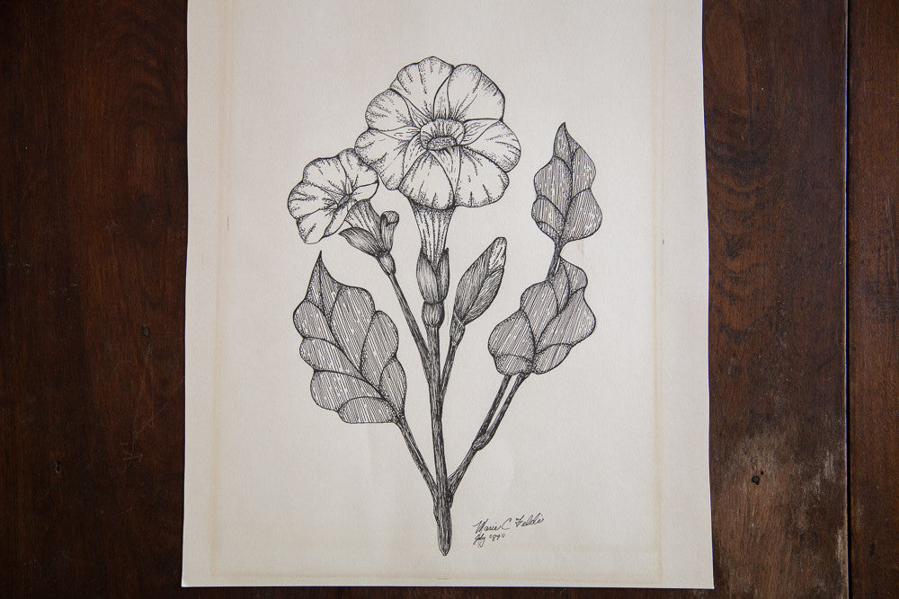 Blossomed Plant in Ink // ONH Item 1410