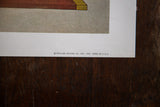 Bernard Picture Co., Inc. publisher's information printed on the lithograph's lower margin.