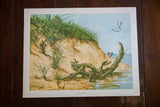 Vintage beach scene lithograph of a grassy sand dune, driftwood, and a woman collecting shells.