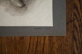 Artist's name 