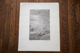 Artist signature and handwritten title below the vintage D.R. Peretti Griva bromoil print.
