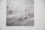 Handwritten title 'Al Vento' and artist's signature on the D.R. Peretti Griva photograph.