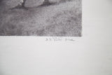 Artist's signature, D.R. Peretti Griva, on the lower right margin of the bromoil transfer photograph.