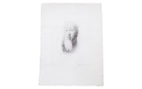 Peretti Griva bromoil transfer portrait of an elderly man with a long, flowing beard.
