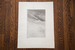 D.R. Peretti Griva Original Bromoil Transfer Tree Snow // ONH Item 1448 Image 3