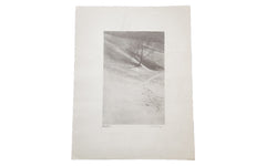 D.R. Peretti Griva Original Bromoil Transfer Tree Snow // ONH Item 1448