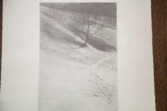 D.R. Peretti Griva Original Bromoil Transfer Tree Snow // ONH Item 1448 Image 1