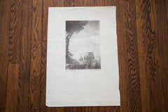 Dark Tree D.R. Peretti Bromoil Print // ONH Item 1452 Image 3