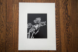 Vintage abstract black and white dandelion photograph print on a white mat.