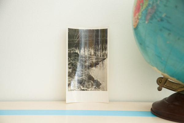 Patsy's Point Antique Photograph // ONH Item 1456