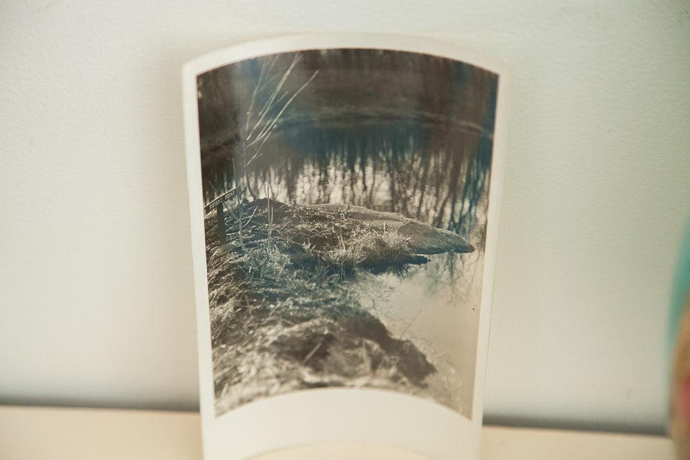 Patsy's Point Antique Photograph