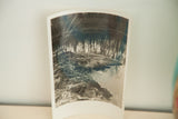 The gentle curl of the vintage 1930s Patsy's Point photographic print.