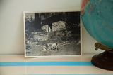 High-contrast antique black and white photograph of a girl and her dog.