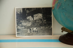 Girl and Dog Antique Photograph // ONH Item 1458