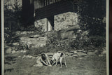 High contrast black and white antique photograph of a girl kneeling with her dog.