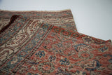 Textured red field with traditional blue and ivory herati motifs on this Malayer rug.