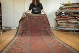 Antique Kurdish runner unrolling, revealing its classic red field and repeating boteh pattern.
