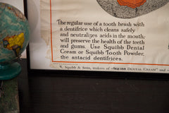 1920s Vintage Tooth Diagram Squibb Advertisement Poster // ONH Item 1533 Image 5