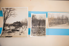 Vintage Tree Photographs // ONH Item 1534