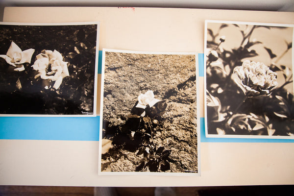 Vintage Underwood And Underwood Flower Photographs // ONH Item 1535