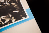 Underwood and Underwood signature detail on a vintage sepia flower photograph.