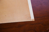 Vintage lithograph's corner with attached mounting card stock and a red acquisition stamp.