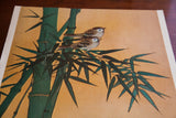 Two small birds with brown and white plumage resting on green bamboo leaves.