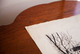 Ragged paper edge and etched tree branches on vintage Irving Nurick art.