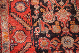 Vintage Hamadan runner's red border and charcoal field with geometric bird motifs.