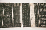 Antique school chart displaying intricate botanical art, portraits, and diverse alphabet types.