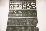 Antique educational scroll section displaying geometric forms, animal silhouettes, and farm scenes.