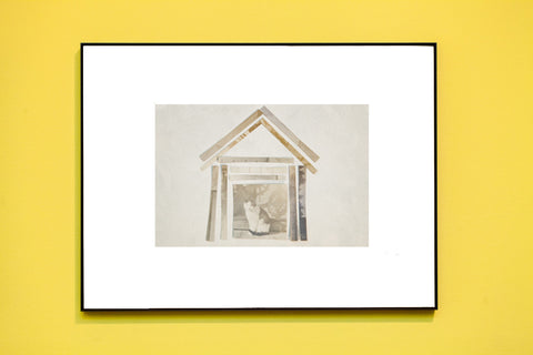 Home is Where the Cats Are? // Antique Photograph Series // ONH Item 1556