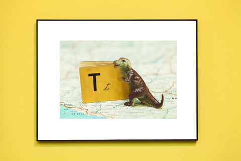 T is for T-Rex Dinosaur // Vintage Alphabet Photograph Series II // ONH Item 1558