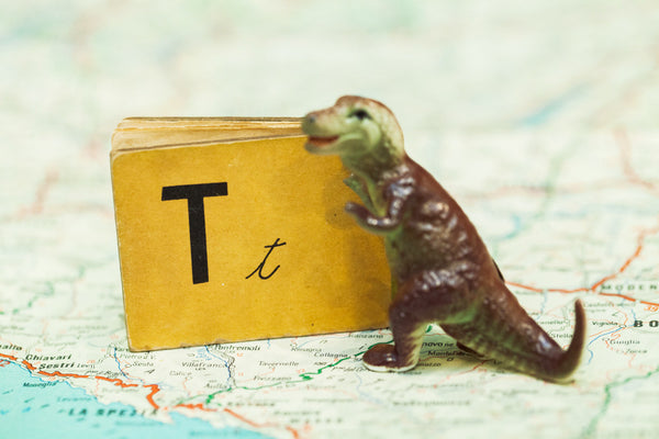 T is for T-Rex Dinosaur // Vintage Alphabet Photograph Series II // ONH Item 1558 Image 1