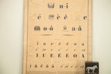 Detailed view of antique French Tableaux De Lecture chart with letterforms, illustrations, and rich patina.