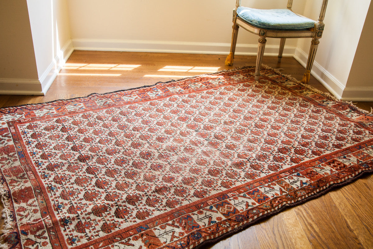 4x6 Antique Ivory Hamadan Rug // ONH Item 1762 Image 1