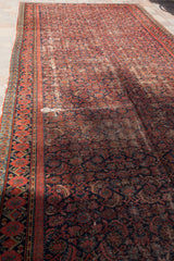 7x19 Persian Malayer Palace Runner // ONH Item 1782 Image 5