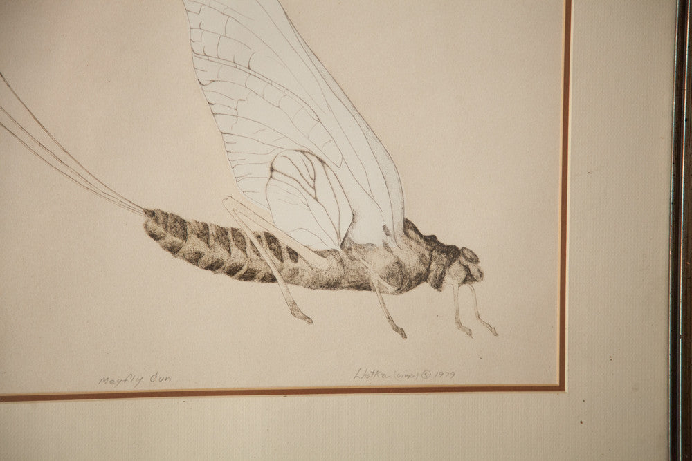 Vintage 1979 Big Drawing by Bonny Lhotka of Mayfly Dun // ONH Item 1792 Image 1