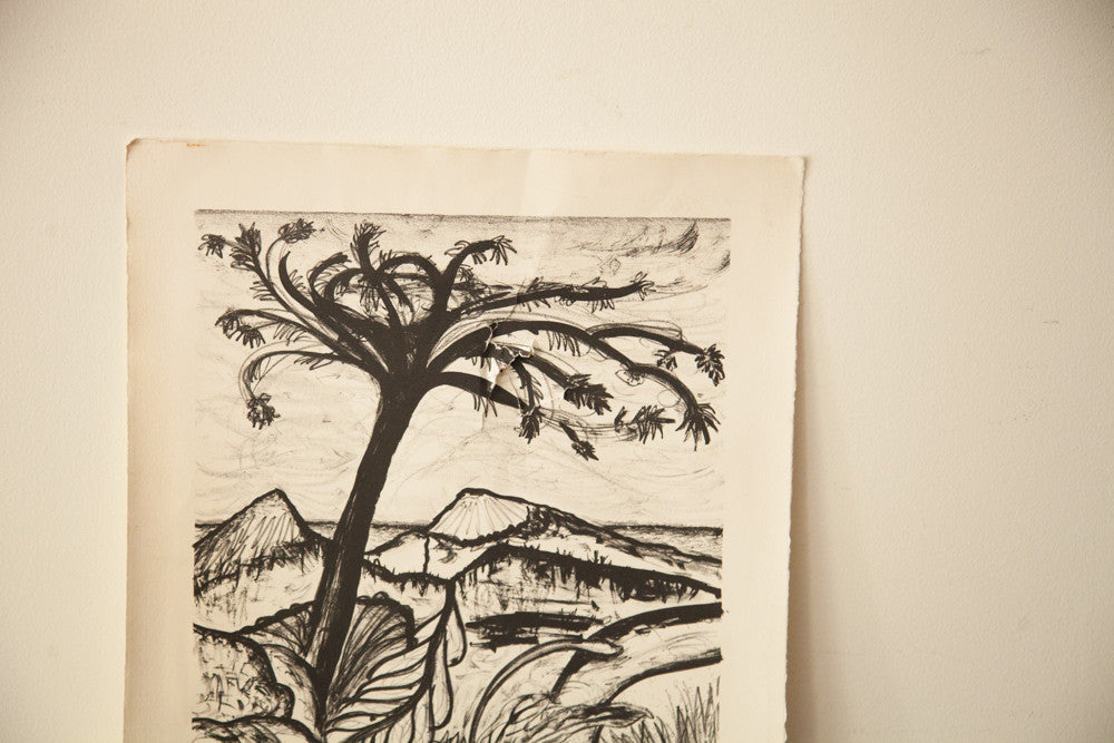 Tom Cox Black and White Art // ONH Item 1798 Image 1