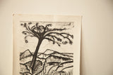 Abstract tree and a visible paper tear on the Tom Cox black and white lithograph.