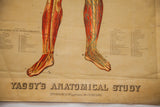 Lower legs, feet, and Yaggy's 1885 title on antique anatomical chart's creased paper.