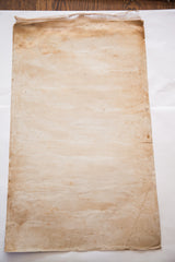 Aged original canvas backing of the antique anatomical chart, with yellowing and discoloration.